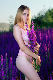 Lavender Fields 01