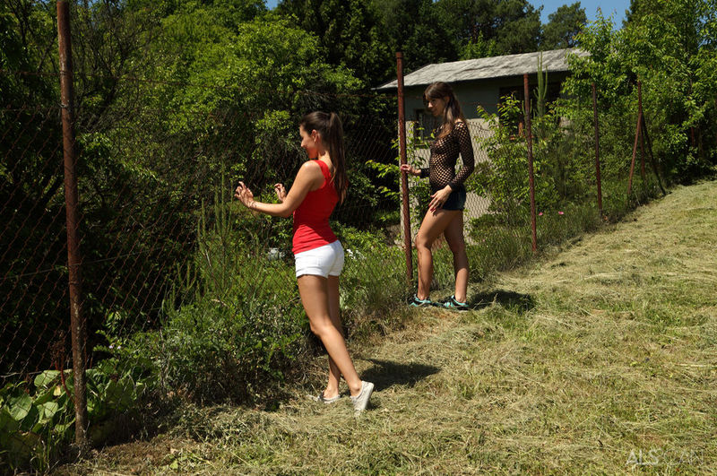Frisbee 12