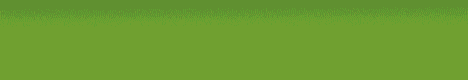 shaylaren.com banner