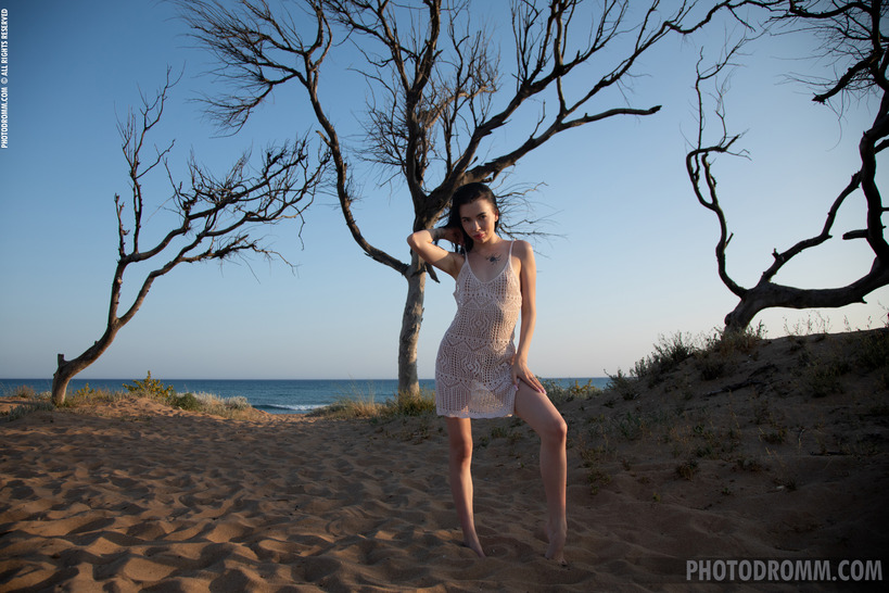 Where Earth Meets Ocean: Bare Skin Against Ancient Driftwood 00