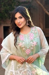 Perfect Indian Beauty Sana Sultan Khan 20
