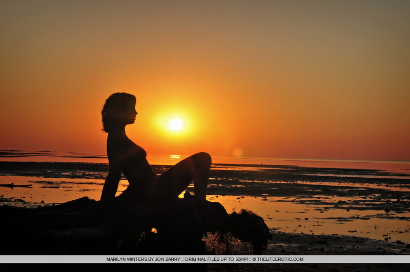 Auburn - Marilyn Winters 12