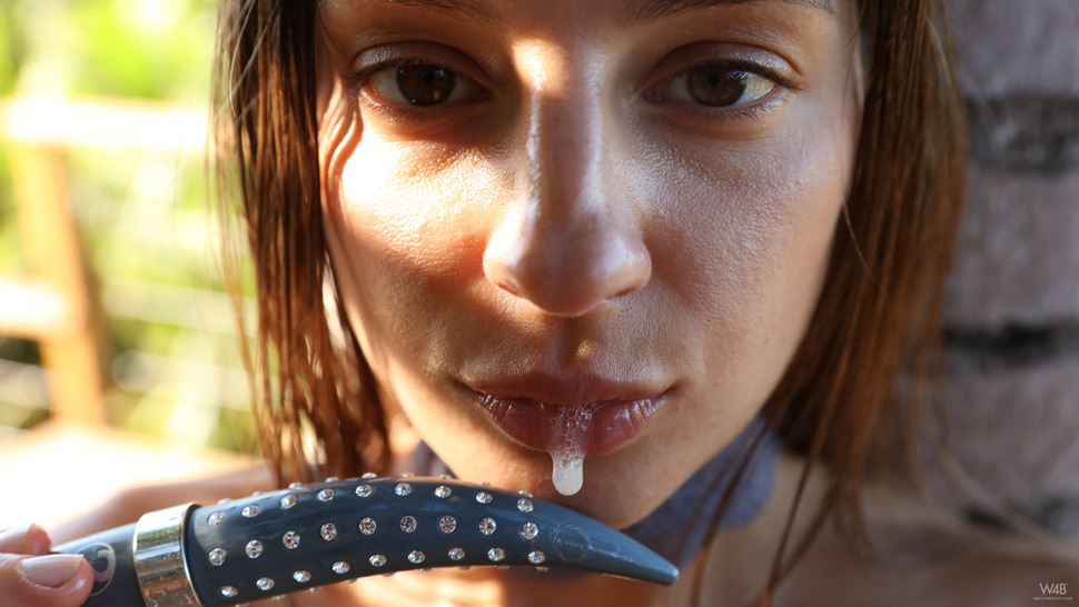 Tropical Sunshine 11